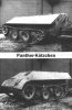 katzchen panther.jpg