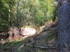 Reipertswiller_1539.jpg