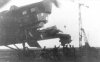 TB-3 (2).jpg
