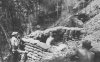 60 mm mortar emplacement 145th Infantry Bougainville.jpg