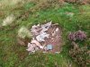 DSCF3620.JPG