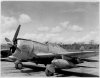 P-47_348-FG_Roly-Poly_Ace-Lt-Hnatio_Finschhafen_1944-W-1.jpg