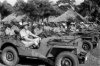 FP4244.jpg