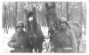 horse23.jpg