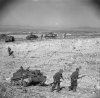 The_British_Army_in_Tunisia_1943_NA880.jpg