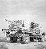 The_British_Army_in_North_Africa_1942_E12643.jpg
