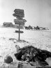 Death at Stalingrad photo 3.jpg
