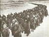 Stalingrad Axis POWs Feb 1943 photo 8.jpg