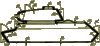 is2_15_1.gif
