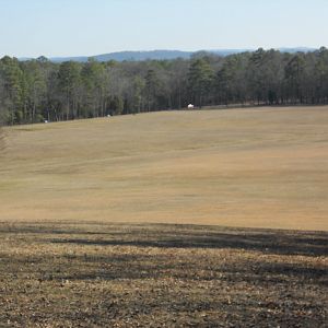 SC Monument Toward Glen-Kelly Road