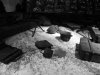 P2247641.jpg