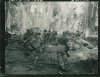 129th_on_Bougainville.jpg