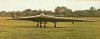 Horten (2).jpg