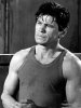 Charles Bronson.jpg