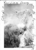 980th FA Btn convey at Mt. Rainier.jpg