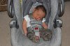 IMG_0540 small.JPG