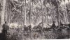 engineers in camp 1943.jpg