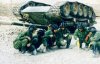 image.php?&aid=753&tank-flip-2.jpg