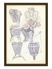 armor-for-underneath-in-the-sixteenth-century.jpg
