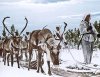 aa1reindeer00-panoramic_edited-1.jpg