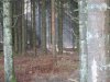 IMG_6327 Hollerath a.jpg