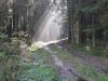 IMG_6328 Hollerath a.jpg