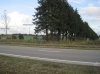 IMG_6355 BP rg NE pos Fcoy a.jpg