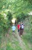 hedges6.jpg