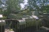 Moscow 2008 027.jpg
