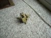 DSCN1080.jpg