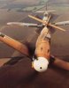 spithunting109.jpg