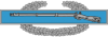 234px-Combat_Infantry_Badge_svg.png