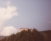 IMG_0001.jpg