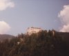IMG_0002.jpg