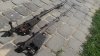 20160918_115629.jpg