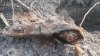 20161001_110529.jpg