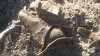 20161001_111358.jpg
