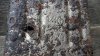 20180131_133737.jpg