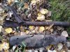 20171020_140910.jpg