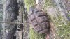 20180429_115245.jpg