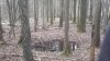 20180429_125711.jpg
