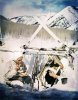 ski1-530606.jpg