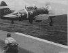 p47_Cat2.jpg