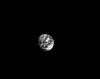 upload_2022-11-24_16-54-31.png