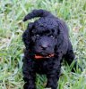 owner%202[1].jpg
