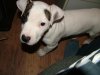 DSCF0387.jpg