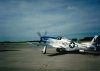 p512.jpg