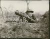 189039 Resized WW2 Forums.jpg