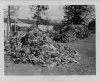 206193 Resized WW2 Forums.jpg