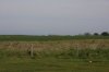 DPP_0116.jpg
